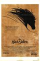 Black Stallion, The