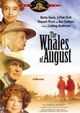 Whales of August, The