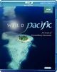 Bbc Wild Pacific